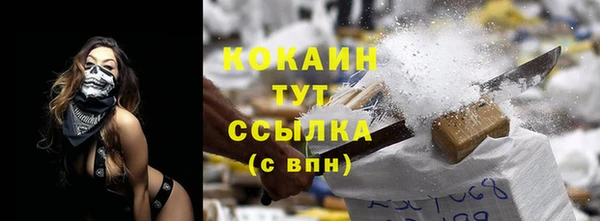дживик Аркадак
