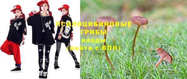 дживик Аркадак