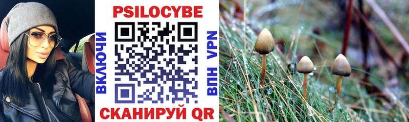 Галлюциногенные грибы Magic Shrooms Купить где Рославль